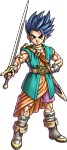 Dq 6 hero