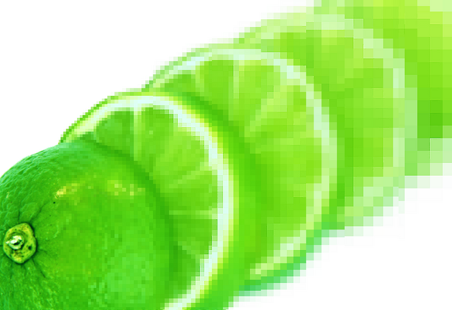 File:LisaLime.png