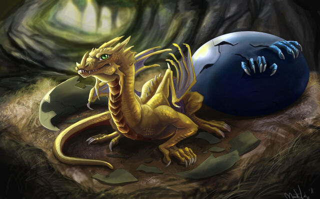 File:DraGon-dragons-34261254-1024-639.jpg