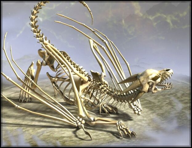 File:Bone dragon.jpg