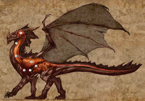 Dragon Organs