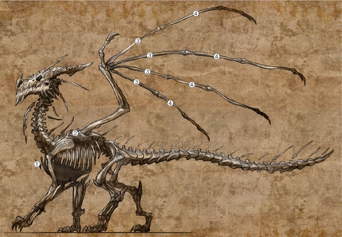 Dragon Skeleton