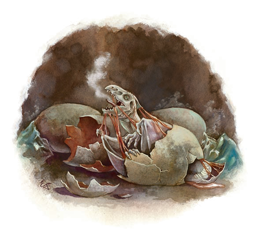File:Hatching White.png