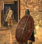 Mystik knight guard 1-001