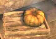 Calabaza.jpg