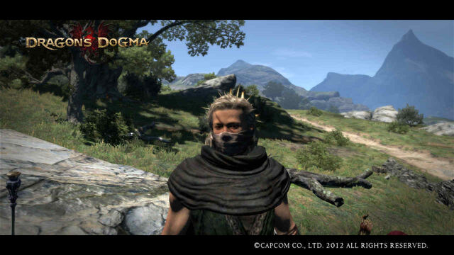 File:Bandit's mask.jpg