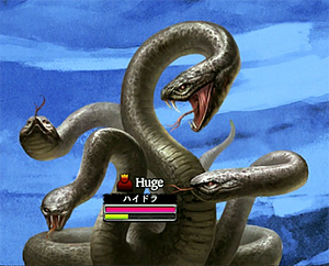 Hydra
