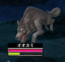 Wolf