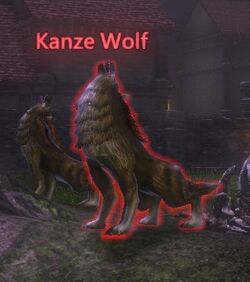 Kanze Wolf