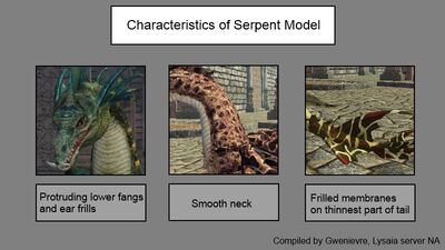 Dragon model characteristics serpent