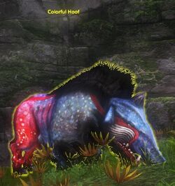 Colorful Hoof