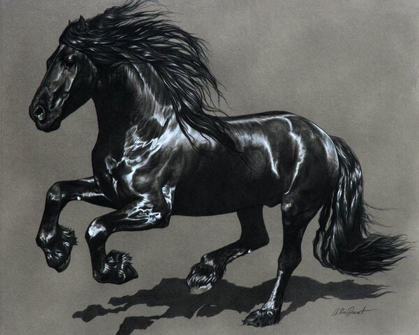 File:Friesian Gelding by wnf2000.jpg