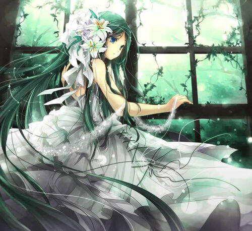 Picture380