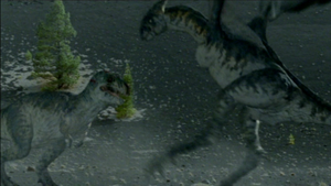 Dragon and TRex