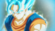 VegettoBlue
