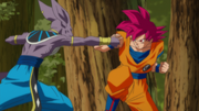 Goku vs Beerus