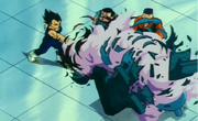Vegeta punch