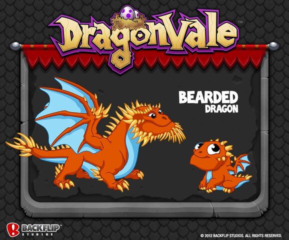 File:Bearded dragon.jpeg