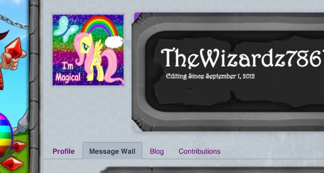 File:Wizmlp.jpg