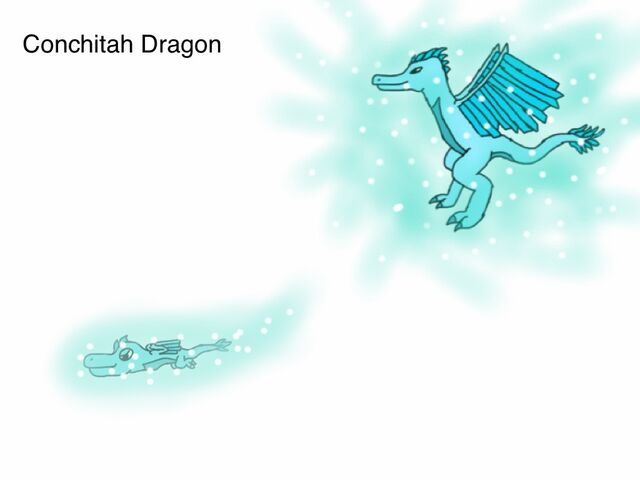 File:Conchitah Dragon.jpg