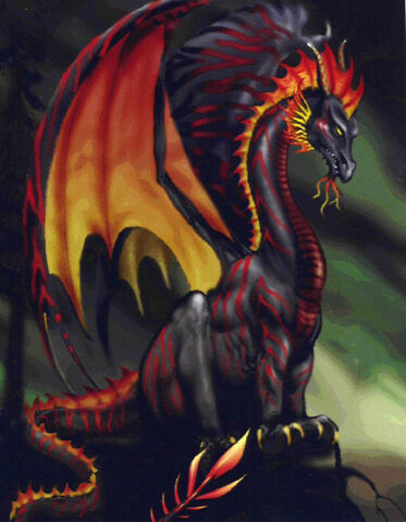 File:Polishfiredragonsnog.jpg
