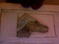 Thumbnail for version as of 15:17, January 31, 2012