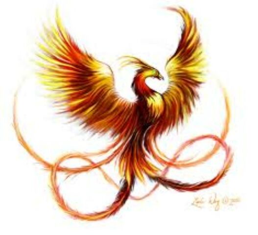 File:Pheonix2.jpg