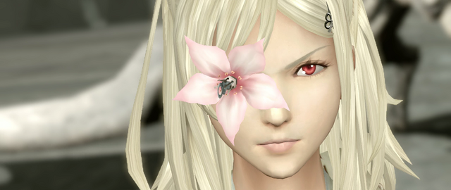 File:DD3 Zero SS33.png