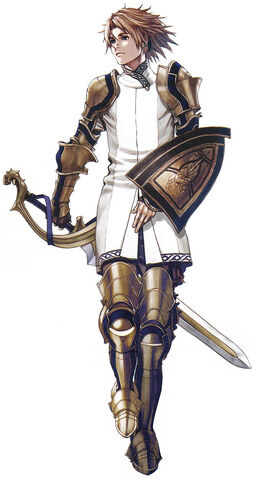 File:Dg2-nowe-armor.jpg