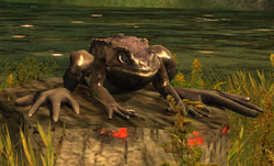 Allwiss.png