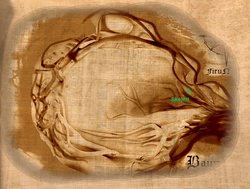 Baumhöhle Map.png