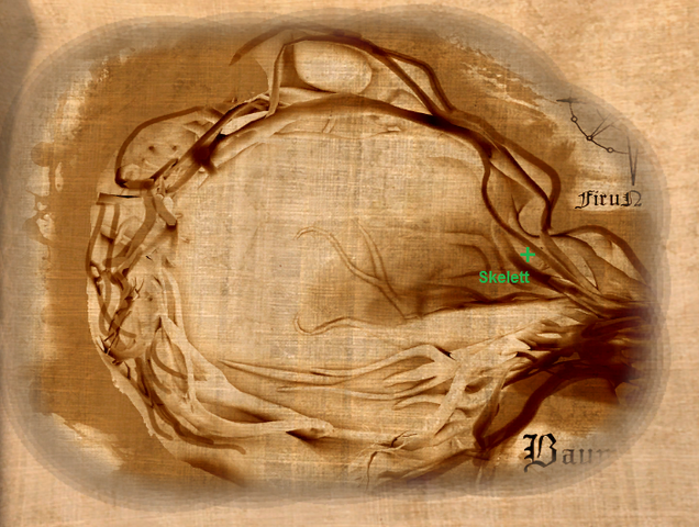 Datei:Baumhöhle Map.png