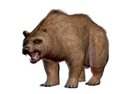 Bear-art