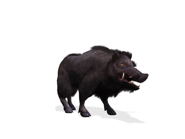 File:WildBoar-art.jpg