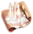Corpofrigo pic.png