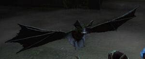 Fledermaus2.jpg