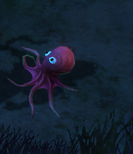 Kraken