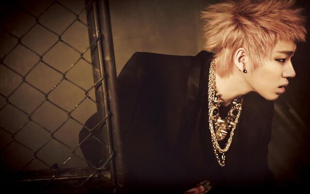 Archivo:Zicoblockb.jpg