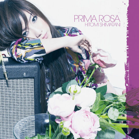 Archivo:PrimaRosa-SH-A.jpg