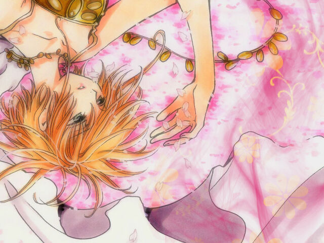 Archivo:Tsubasa Chronicles Wallpaper by Dark4Lillith.jpg