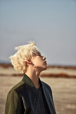 BamBam
