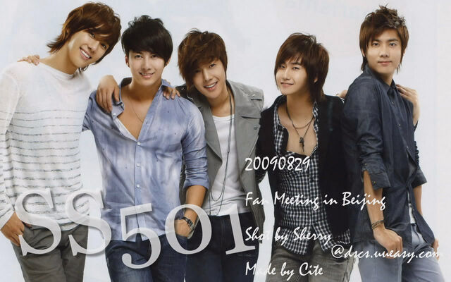 Archivo:95671-ss501-ss501-27.jpg