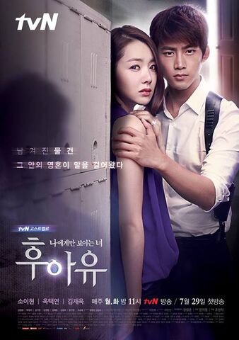Archivo:Who Are You?tvN2013.jpg