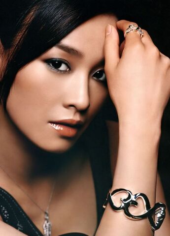Archivo:Zhang-Ting9.jpg