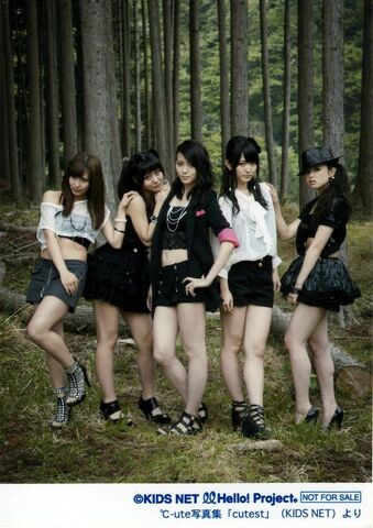 Archivo:°C-ute40240.jpg