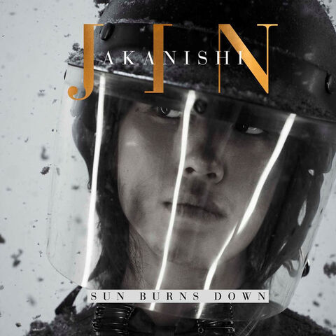 Archivo:AkanishiJinSunBurnsDown-DS.jpg