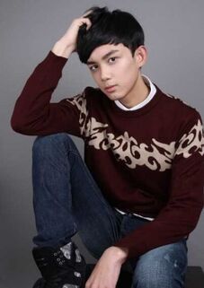 Wu-lei