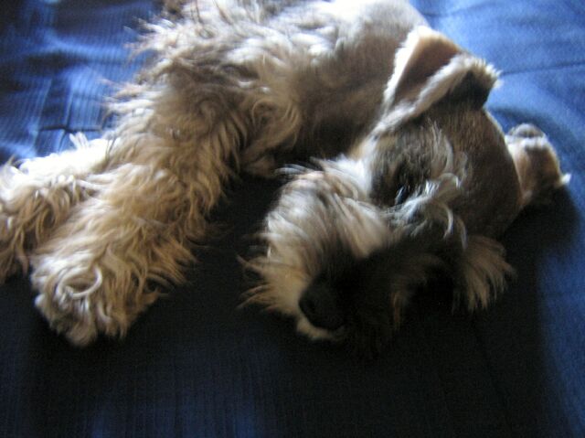 Archivo:IMG 1059.jpg