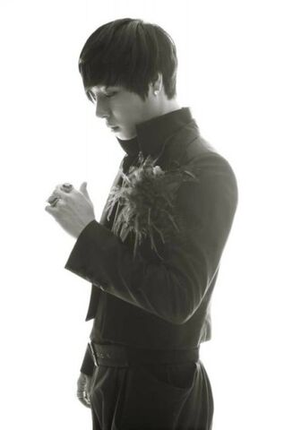 Archivo:Burningrosejisoo.jpg
