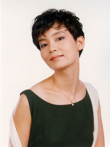 Archivo:Pan Hong.jpg